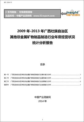 2009-2013年广西壮族自治区其他非金属矿物制品制造行业经营状况分析年报